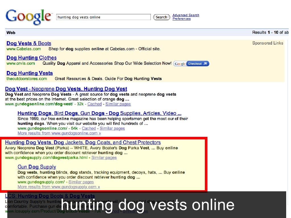 bird dog hunting supplies