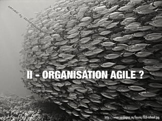 II - ORGANISATION AGILE ?
http://www.sardegna.se/fauna/ﬁsh-school.jpg
 
