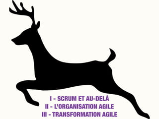 I - SCRUM ET AU-DELÀ
II - L’ORGANISATION AGILE
III - TRANSFORMATION AGILE
 