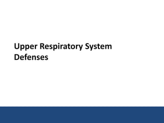 Upper Respiratory System
Defenses
 