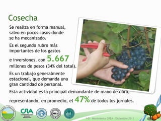 Cosecha
Se realiza en forma manual,
salvo en pocos casos donde
se ha mecanizado.
Es el segundo rubro más
importantes de los gastos

e inversiones, con5.667
millones de pesos (34% del total).
Es un trabajo generalmente
estacional, que demanda una
gran cantidad de personal.
Esta actividad es la principal demandante de mano de obra,

representando, en promedio, el   47% de todos los jornales.

                                     I+D - Movimiento CREA – Diciembre 2011
 