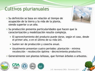 Cultivos plurianuales
 Su definición se basa en relación al tiempo de
 ocupación de la tierra y la vida de la planta,
 siendo superior a un año.
 Su producción presenta particularidades que hacen que la
 caracterización y modelización resulte compleja.
   El aprovechamiento del producto puede darse, según el caso, desde
    el primer año, o en el último de su vida útil.
   Suelen ser de producción y cosecha anual.

   Usualmente presentan cuatro períodos: plantación - mínima
    recolección - recolección óptima - decrecimiento productivo.
 Generalmente son plantas leñosas, que forman árboles o arbustos.



                                       I+D - Movimiento CREA – Diciembre 2011
 