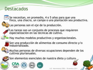 Destacados
  Se necesitan, en promedio, 4 o 5 años para que una
  finca, una chacra, un campo o una plantación sea productiva.
  Las personas son el eje de la producción.
  Las tareas son un conjunto de procesos que requieren
  especialización en las técnicas de cultivo.
  Hay muchos modelos productivos y organizacionales.
  Son una producción de alimentos de consumo directo y/o
  industrializado.
  Muchas personas de diversas ocupaciones dependen de los
  cultivos plurianuales.
  Son elementos esenciales de nuestra dieta y cultura.


                                 I+D - Movimiento CREA – Diciembre 2011
 
