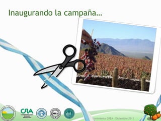 Inaugurando la campaña…




                  I+D - Movimiento CREA – Diciembre 2011
 