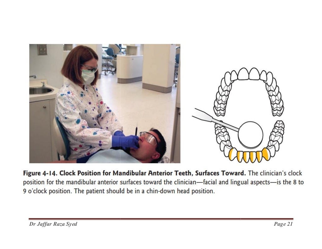 000.Dental Chair positions and armamentrum