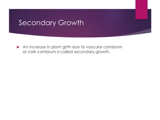 Secondary Growth
 An increase in plant girth due to vascular cambium
or cork cambium is called secondary growth.
 