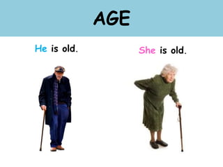 AGE
He is old. She is old.
 