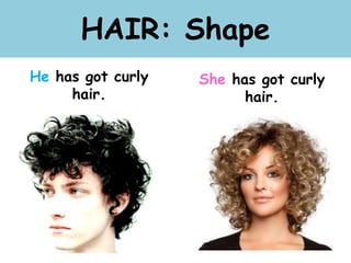 HAIR: Shape
He has got curly
hair.
She has got curly
hair.
 