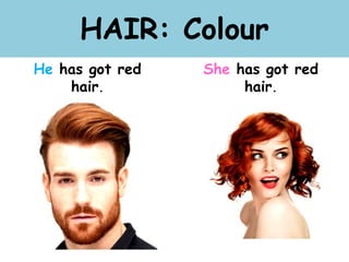 HAIR: Colour
He has got red
hair.
She has got red
hair.
 