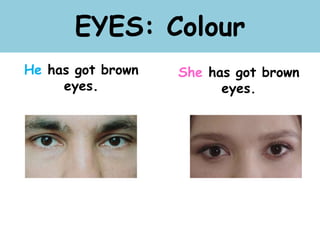 EYES: Colour
He has got brown
eyes.
She has got brown
eyes.
 