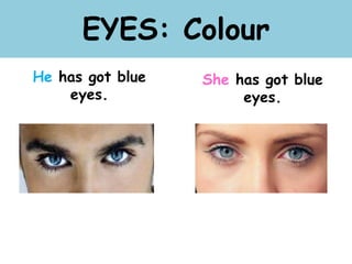 EYES: Colour
He has got blue
eyes.
She has got blue
eyes.
 