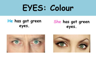 EYES: Colour
He has got green
eyes.
She has got green
eyes.
 