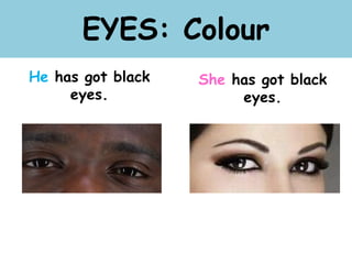 EYES: Colour
He has got black
eyes.
She has got black
eyes.
 