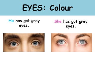 EYES: Colour
He has got grey
eyes.
She has got grey
eyes.
 