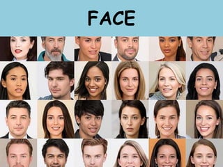 FACE
 