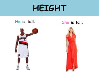 HEIGHT
He is tall. She is tall.
 