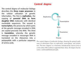 Comprehensive Overview of Nucleic Acids: Structure, Function, and DNA ...