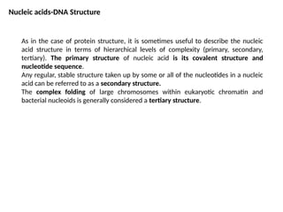 Comprehensive Overview of Nucleic Acids: Structure, Function, and DNA ...