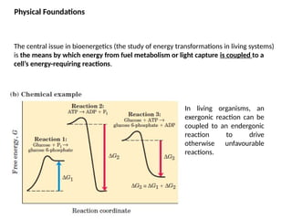 Comprehensive Overview of Cellular Metabolism and Energy Transformation ...