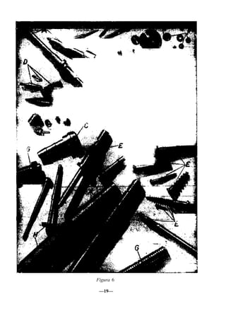 Figura 6
—19—
 