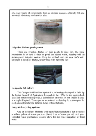 5 
of a wide variety of components. Fish are stocked in cages, artificially fed, and 
harvested when they reach market size. 
Irrigation ditch or pond systems 
These use irrigation ditches or farm ponds to raise fish. The basic 
requirement is to have a ditch or pond that retains water, possibly with an 
above-ground irrigation system. Using this method, one can store one's water 
allotment in ponds or ditches, usually lined with bentonite clay 
Composite fish culture 
The Composite fish culture system is a technology developed in India by 
the Indian Council of Agricultural Research in the 1970s. In this system both 
local and imported fish species, a combination of five or six fish species is used 
in a single fish pond. These species are selected so that they do not compete for 
food among them having different types of food habitats. 
Integrated recycling systems 
One of the largest problems with freshwater pisciculture is that it can use 
a million gallons of water per acre (about 1 m³ of water per m²) each year. 
Extended water purification systems allow for the reuse (recycling) of local 
water. 
 