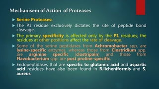 Mechanisem of Action of Proteases
 Serine Proteases:
 The P1 residue exclusively dictates the site of peptide bond
cleavage.
 The primary specificity is affected only by the P1 residues; the
residues at other positions affect the rate of cleavage.
 Some of the serine peptidases from Achromobacter spp. are
lysine-specific enzymes, whereas those from Clostridium spp.
are arginine specific (clostripain) and those from
Flavobacterium spp. are post proline-specific.
 Endopeptidases that are specific to glutamic acid and aspartic
acid residues have also been found in B.licheniformis and S.
aureus.
 