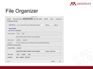 File Organizer
 
