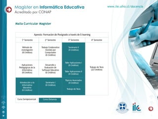 Malla Curricular Magíster www.iie.ufro.cl/docencia 