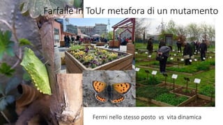 Farfalle in ToUr metafora di un mutamento
Fermi nello stesso posto vs vita dinamica
 