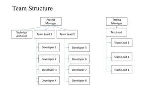 Team Structure
Project
Manager
Technical
Architect
Team Lead 1 Team Lead 2
Developer 4
Developer 1
Developer 2
Developer 3
Developer 5
Developer 6
Developer 8
Developer 7
Testing
Manager
Team Lead 1
Team Lead 1
Team Lead 1
Test Lead
 