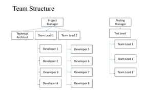 Team Structure
Project
Manager
Technical
Architect
Team Lead 1 Team Lead 2
Developer 4
Developer 1
Developer 2
Developer 3...