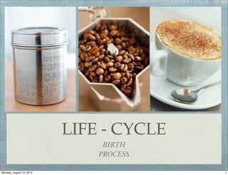 LIFE - CYCLE
                               BIRTH
                              PROCESS

Monday, August 13, 2012                  1
 