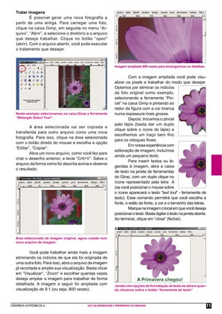 CADERNOS ELETRÔNICOS 6 USO DA IMPRESSORA E TRATAMENTO DE IMAGENS 11
Com a imagem ampliada você pode visu-
alizar os pixels e trabalhar do modo que desejar.
Optamos por eliminar os indícios
da foto original como exemplo,
selecionando a ferramenta “Pin-
cel” na caixa Gimp e pintando ao
redor da ﬁgura com a cor branca
numa espessura mais grossa.
Depois, trocamos o pincel
pelo lápis (basta dar um duplo
clique sobre o ícone do lápis) e
escolhemos um traço bem ﬁno
para os retoques ﬁnais.
Emnossaexperiênciacom
editoração de imagem, incluímos
ainda um pequeno texto.
Para inserir textos ou le-
gendas à imagem, abra a caixa
de texto na janela de ferramentas
do Gimp, com um duplo clique no
ícone representado pela letra A
(se você posicionar o mouse sobre
o ícone aparecerá o texto “text tool” - ferramenta de
texto). Esse comando permitirá que você escolha a
fonte, o estilo da fonte, a cor e o tamanho das letras.
Marquenaimagemolocalemquevocêdeseja
posicionarotexto.Bastadigitarotextonajanelaaberta.
Ao terminar, clique em “close” (fechar).
Neste exemplo selecionamos na caixa Gimp a ferramenta
“Retangle Select Tool”.
Tratar imagens
É possível gerar uma nova fotografia a
partir de uma antiga. Para carregar uma foto,
clique na caixa Gimp, em seguida no menu “Ar-
quivo”, “Abrir”, e selecione o diretório e o arquivo
que deseja trabalhar. Clique no botão “open”
(abrir). Com o arquivo aberto, você pode executar
o tratamento que desejar.
A área selecionada vai ser copiada e
transferida para outro arquivo como uma nova
fotograﬁa. Para isso, clique na área selecionada
com o botão direito do mouse e escolha a opção
“Editar”, “Copiar”.
Abra um novo arquivo, como você fez para
criar o desenho anterior, e tecle “Crtl+V”. Salve o
arquivo da forma como foi descrita acima e observe
o resultado.
Você pode trabalhar ainda mais a imagem
eliminando os indícios de que ela foi originada de
uma outra foto. Para isso, abra o arquivo da imagem
já recortada e amplie sua visualização. Basta clicar
em “Visualizar”, “Zoom” e escolher quantas vezes
deseja ampliar a imagem para trabalhar de forma
detalhada. A imagem a seguir foi ampliada com
visualização de 8:1 (ou seja, 800 vezes).
Área selecionada da imagem original, agora colada num
novo arquivo de imagem.
Imagem ampliada 800 vezes para enxergarmos os detalhes.
Janela com opções de formatação de texto se abrem quan-
do clicamos sobre o botão “ferramenta de texto”
 