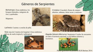 Ofidismo. Mordedura de serpiente. Envenenamiento por mordedura de ...