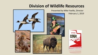 Division of Wildlife Resources
Presented by Mike Fowlks, Director
February 1, 2019
 