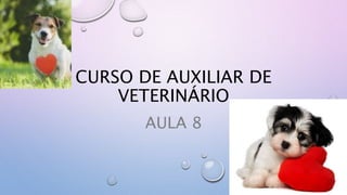 CURSO DE AUXILIAR DE
VETERINÁRIO
AULA 8
 
