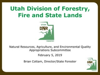 Utah Division of Forestry,
Fire and State Lands
Natural Resources, Agriculture, and Environmental Quality
Appropriations Subcommittee
February 5, 2019
Brian Cottam, Director/State Forester
 