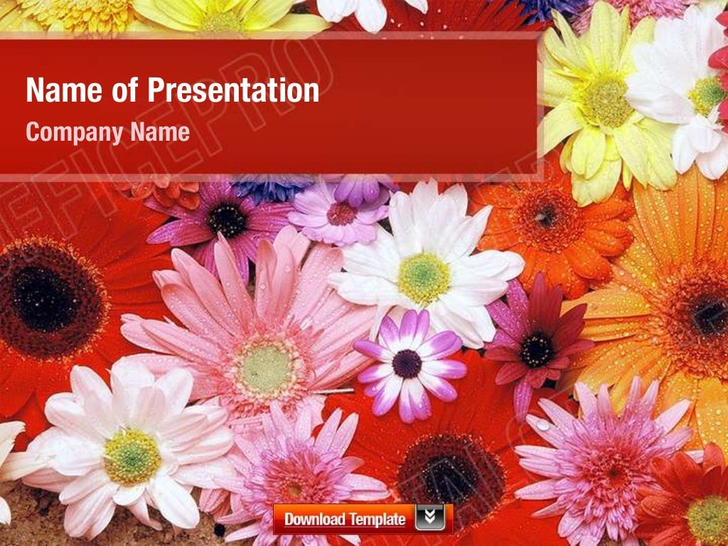 Flowers Powerpoint Template Backgrounds