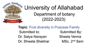 University of Allahabad
Department of botany
(2022-2023)
Topic: Fruit diversity in Poaceae Family
Submitted to: Submitted By:
Dr. Satya Narayan Sheela Verma
Dr. Shweta Shekhar MSc. 2nd Sem
 