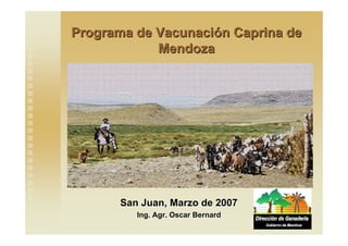Programa de Vacunaci
Programa de Vacunació
ón Caprina de
n Caprina de
Mendoza
Mendoza
San Juan, Marzo de 2007
San Juan, Marzo de 2007
Ing. Agr. Oscar
Ing. Agr. Oscar Bernard
Bernard
 