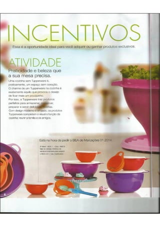 Revista VP 13 2013 (Prévia)