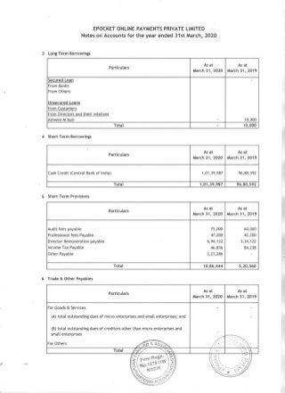 ePocket 2020 Auditor's statement