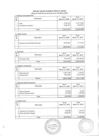ePocket 2020 Auditor's statement