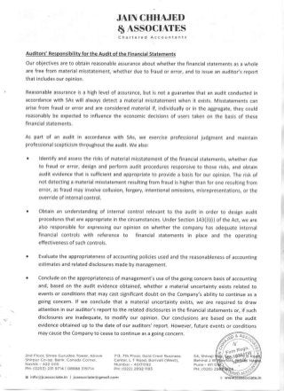 ePocket 2020 Auditor's statement