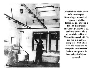 Auschwitz dividia-se em três subcampos: Stammlager (Auschwitz 1), para trabalhos forçados, que chegou a ter 135 mil presos; Birkenau (Auschwitz 2), onde era executado o extermínio; e Buna-Monowitz (Auschwitz 3), um conjunto de 46 campos de trabalhos forçados associado ao complexo industrial IG Farben, que produzia borracha sintética e metanol.  