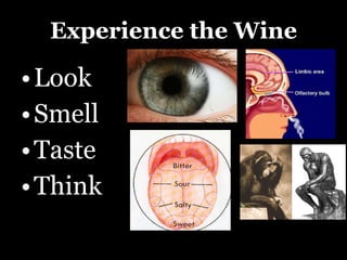 Experience the Wine Look Smell Taste Think 