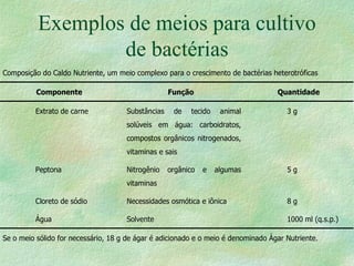 Exemplos de meios para cultivo de bactérias 
