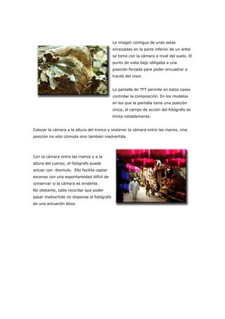 La imagen contigua de unas setas
enraizadas en la parte inferior de un árbol
se tomó con la cámara a nivel del suelo. El
punto de vista bajo obligaba a una
posición forzada para poder encuadrar a
través del visor.
La pantalla de TFT permite en estos casos
controlar la composición. En los modelos
en los que la pantalla tiene una posición
única, el campo de acción del fotógrafo se
limita notablemente.
Colocar la cámara a la altura del tronco y sostener la cámara entre las manos. Una
posición no sólo cómoda sino también inadvertida.
Con la cámara entre las manos y a la
altura del cuerpo, el fotógrafo puede
actuar con disimulo. Ello facilita captar
escenas con una espontaneidad difícil de
conservar si la cámara es evidente.
No obstante, cabe recordar que poder
pasar inadvertido no dispensa al fotógrafo
de una actuación ética.
 
