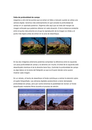 Falta de profundidad de campo
Llegamos a otro de los puntos que se echan en falta a menudo cuando se utiliza una
cámara digital. Veremos más extensamente en qué consiste la profundidad de
campo en un apartado posterior. Digamos sólo aquí que se trata del margen de
imagen enfocada que podemos obtener en cada situación. O de la distancia existente
entre el punto más próximo en el que la reproducción de la imagen es nítida y el
punto más lejano antes de entrar en la zona de desenfoque.
En las dos imágenes anteriores podemos comprobar la diferencia entre la izquierda
con poca profundidad de campo y la derecha con mucha. El árbol de la izquierda está
desenfocado mientras el de la derecha tiene foco. Controlar la profundidad de campo
es algo básico en la tarea del fotógrafo ya que es él quien decide como quiere
mostrar cada imagen.
En un retrato, el hecho de desenfocar el fondo contribuye a centrar la atención sobre
el sujeto fotografiado. Las cámaras digitales acostumbran a tener demasiada
profundidad de campo, pero por contra tenemos la posibilidad de recrear un fondo
desenfocado mediante filtros durante el proceso de edición.
 