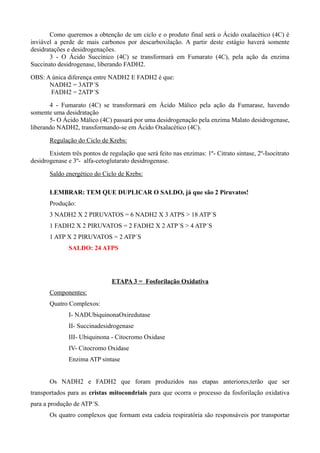 Como queremos a obtenção de um ciclo e o produto final será o Ácido oxalacético (4C) é
inviável a perde de mais carbonos por descarboxilação. A partir deste estágio haverá somente
desidratações e desidrogenações.
3 - O Ácido Succínico (4C) se transformará em Fumarato (4C), pela ação da enzima
Succinato desidrogenase, liberando FADH2.
OBS: A única diferença entre NADH2 E FADH2 é que:
NADH2 = 3ATP´S
FADH2 = 2ATP´S
4 - Fumarato (4C) se transformará em Ácido Málico pela ação da Fumarase, havendo
somente uma desidratação
5- O Ácido Málico (4C) passará por uma desidrogenação pela enzima Malato desidrogenase,
liberando NADH2, transformando-se em Ácido Oxalacético (4C).
Regulação do Ciclo de Krebs:
Existem três pontos de regulação que será feito nas enzimas: 1º- Citrato sintase, 2º-Isocitrato
desidrogenase e 3º- alfa-cetoglutarato desidrogenase.
Saldo energético do Ciclo de Krebs:
LEMBRAR: TEM QUE DUPLICAR O SALDO, já que são 2 Piruvatos!
Produção:
3 NADH2 X 2 PIRUVATOS = 6 NADH2 X 3 ATPS > 18 ATP´S
1 FADH2 X 2 PIRUVATOS = 2 FADH2 X 2 ATP´S > 4 ATP´S
1 ATP X 2 PIRUVATOS = 2 ATP´S
SALDO: 24 ATPS
ETAPA 3 = Fosforilação Oxidativa
Componentes:
Quatro Complexos:
I- NADUbiquinonaOxiredutase
II- Succinadesidrogenase
III- Ubiquinona - Citocromo Oxidase
IV- Citocromo Oxidase
Enzima ATP sintase
Os NADH2 e FADH2 que foram produzidos nas etapas anteriores,terão que ser
transportados para as cristas mitocondriais para que ocorra o processo da fosforilação oxidativa
para a produção de ATP´S.
Os quatro complexos que formam esta cadeia respiratória são responsáveis por transportar
 